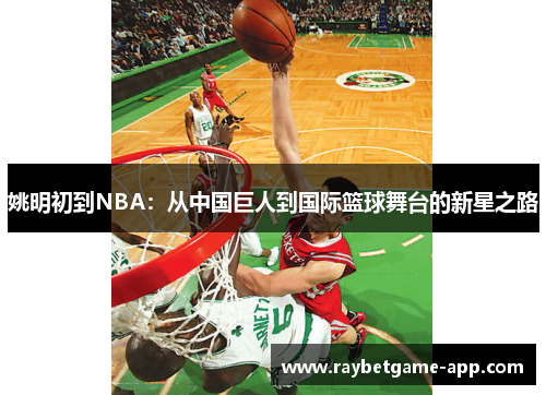 姚明初到NBA：从中国巨人到国际篮球舞台的新星之路