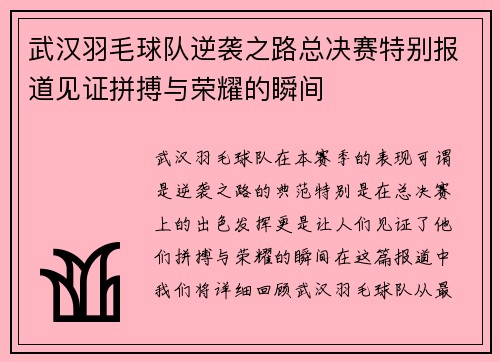 武汉羽毛球队逆袭之路总决赛特别报道见证拼搏与荣耀的瞬间